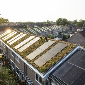 Nature-based solutions in de wijk